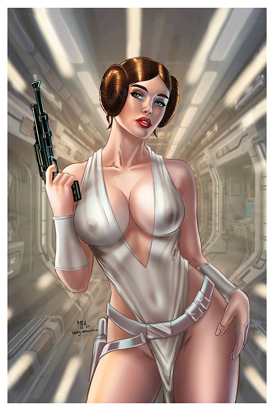 SW1-05P Art
