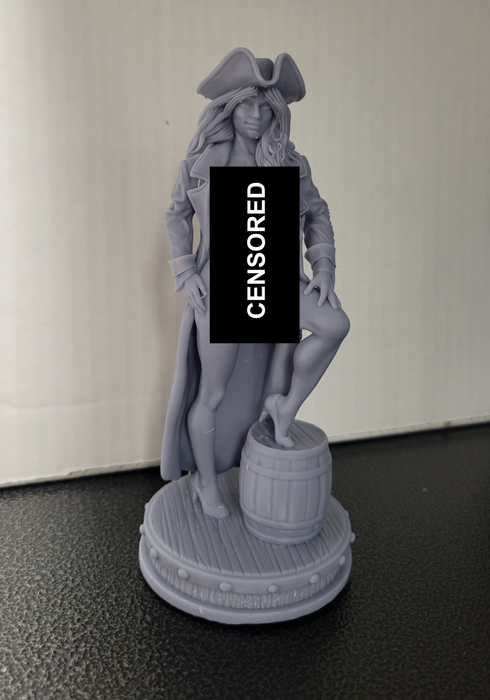 Surrender The Booty Unpainted Statue