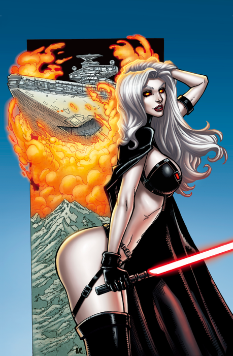 11x17 Lady Darth #1 CVR E Art