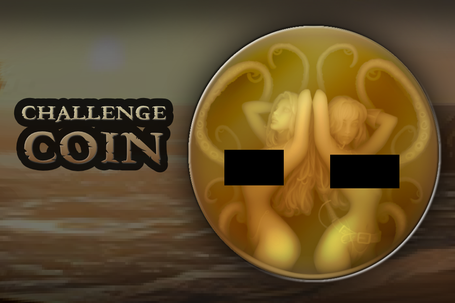 Surrender The Booty #2 Challenge Coin