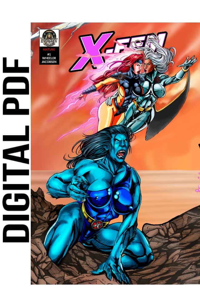 X-FEM #1 Digital