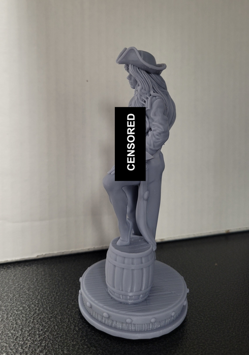 Surrender The Booty Unpainted Statue